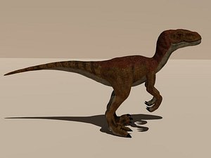 velociraptor raptor 3d model