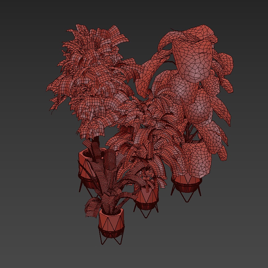 plant vol 954 - fiddle - banana - rubber - monstera 3D model https://p.turbosquid.com/ts-thumb/9x/GVtODZ/T0/6/jpg/1784972846/1920x1080/fit_q87/2f6cc3e7da8625c1ab5b5f17dde15adcd5b3664a/6.jpg
