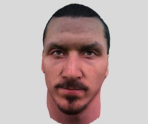3D zlatan ibrahimovic face