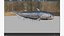 3D Acanthodii fish