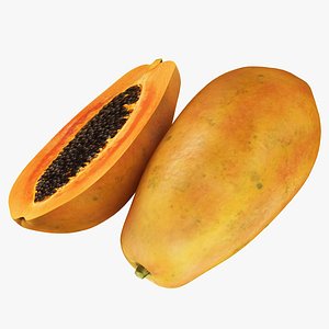 Papaya model