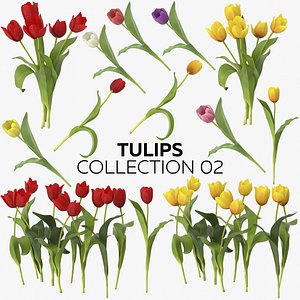 tulips 02 3D