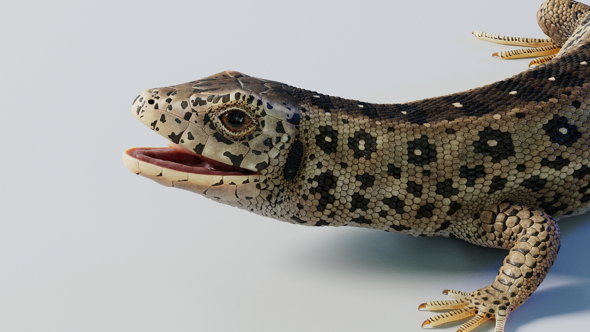Brown Lizard Rigged 3D https://p.turbosquid.com/ts-thumb/9x/idLFQN/yX/lizardbriggedtbb/jpg/1782374188/1920x1080/turn_fit_q99/de29e2149617c4249d1f15d54f7390e2e6ce5e38/lizardbriggedtbb-1.jpg