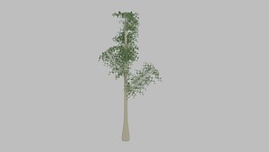 3D model Low-Poly High and slender Tree with four Types of Foliage