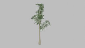 Low-Poly High and slender Tree with four Types of Foliage