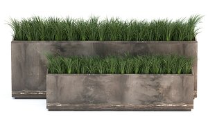 Ornamental grass in a rusty flower pot for the interior 939 3D model