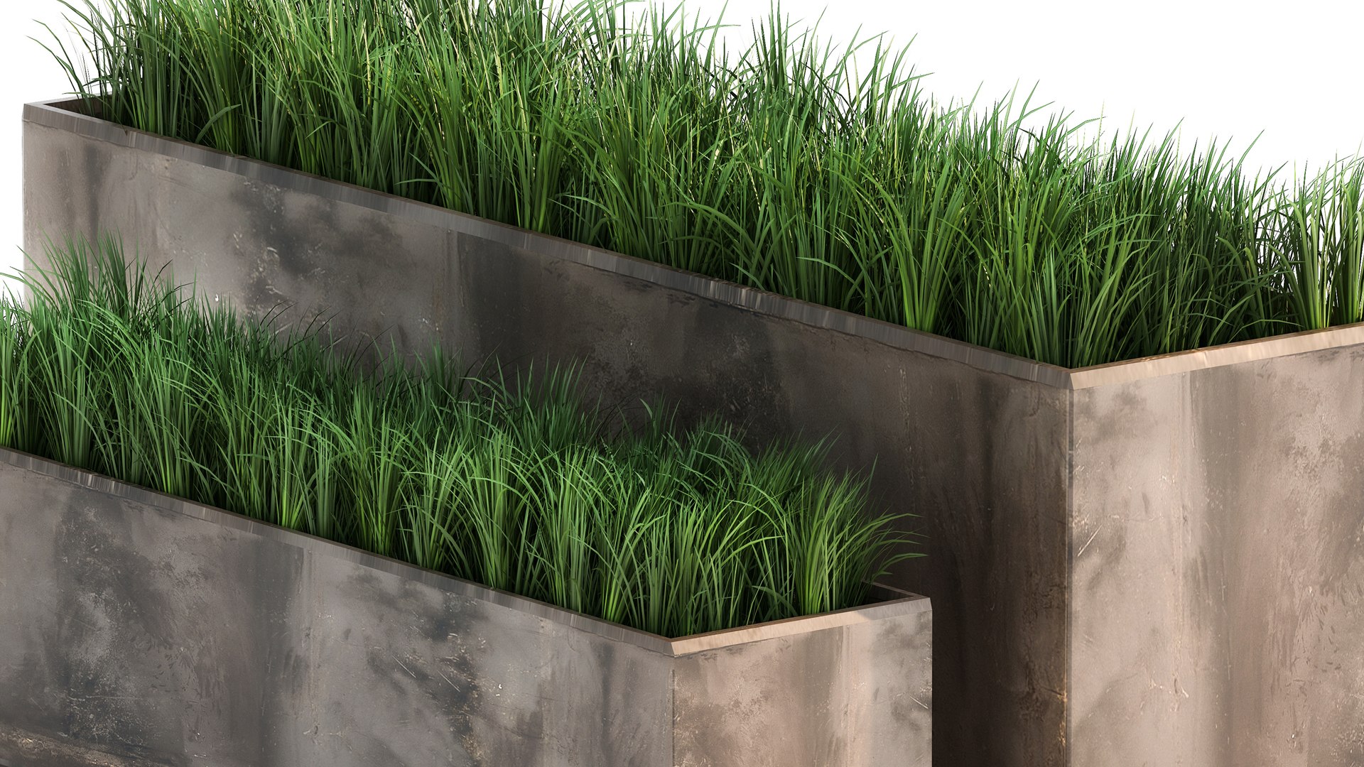 Ornamental grass in a rusty flower pot for the interior 939 3D model https://p.turbosquid.com/ts-thumb/9y/1hGlsC/tS/1grass2104202106/jpg/1619082692/1920x1080/fit_q87/d89d44f6e94448da30a754cbc9fc09e38db1067c/1grass2104202106.jpg