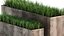 Ornamental grass in a rusty flower pot for the interior 939