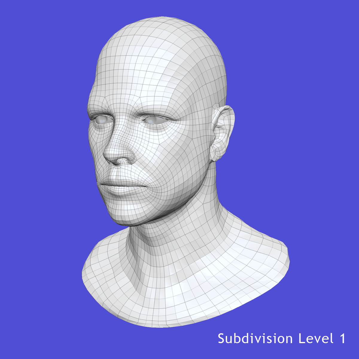 3d x-ray male face