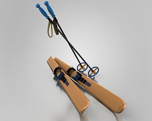 Ski