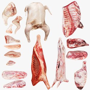 Chicken Beef Meat Collection model