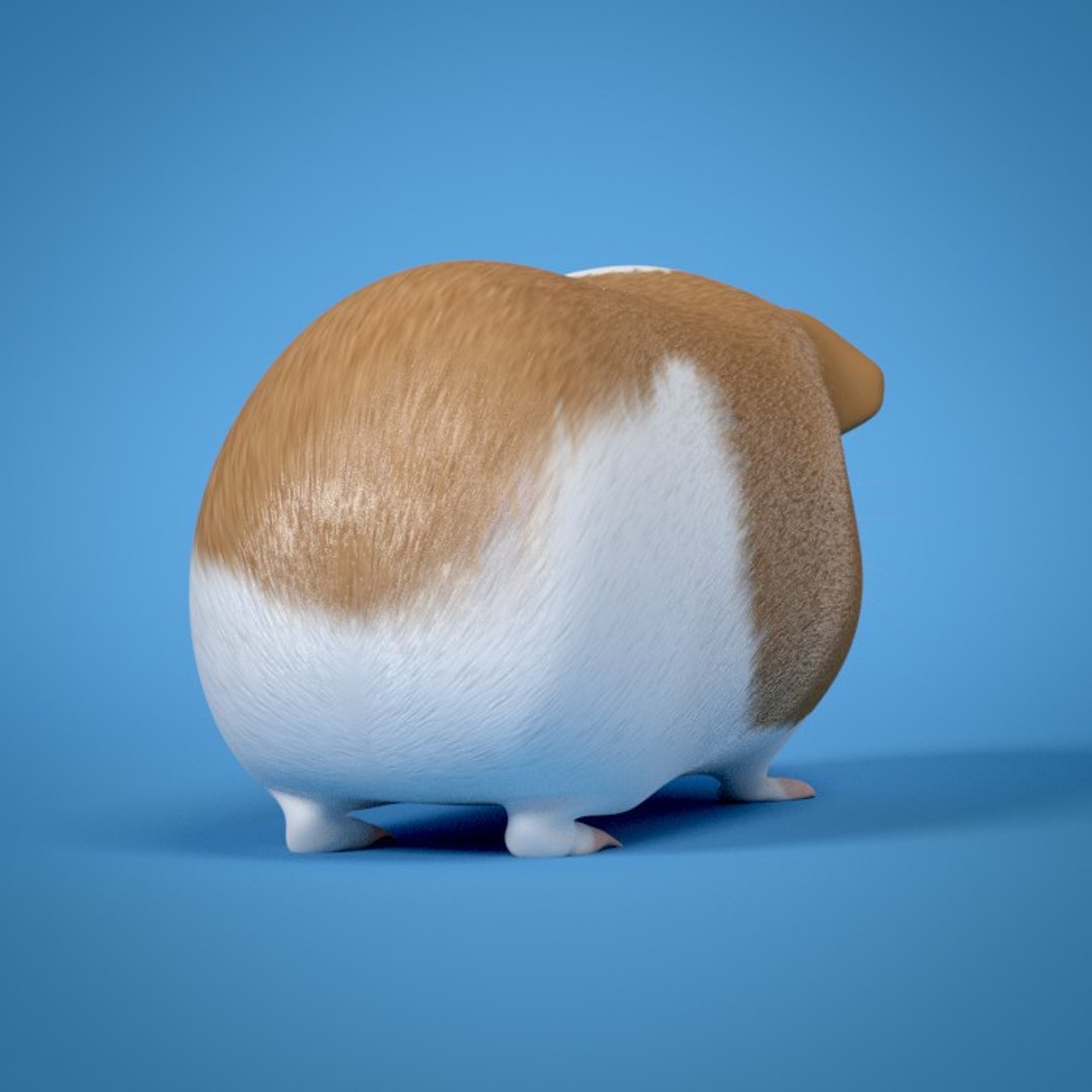 3d guinea pig https://p.turbosquid.com/ts-thumb/9y/MfVt5Z/xe0DKJk8/04/jpg/1354980897/1920x1080/fit_q87/66eb3bb994c0fd0de253fdc2f017e95e03e66899/04.jpg