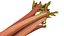 Rhubarb 8K