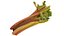 Rhubarb 8K