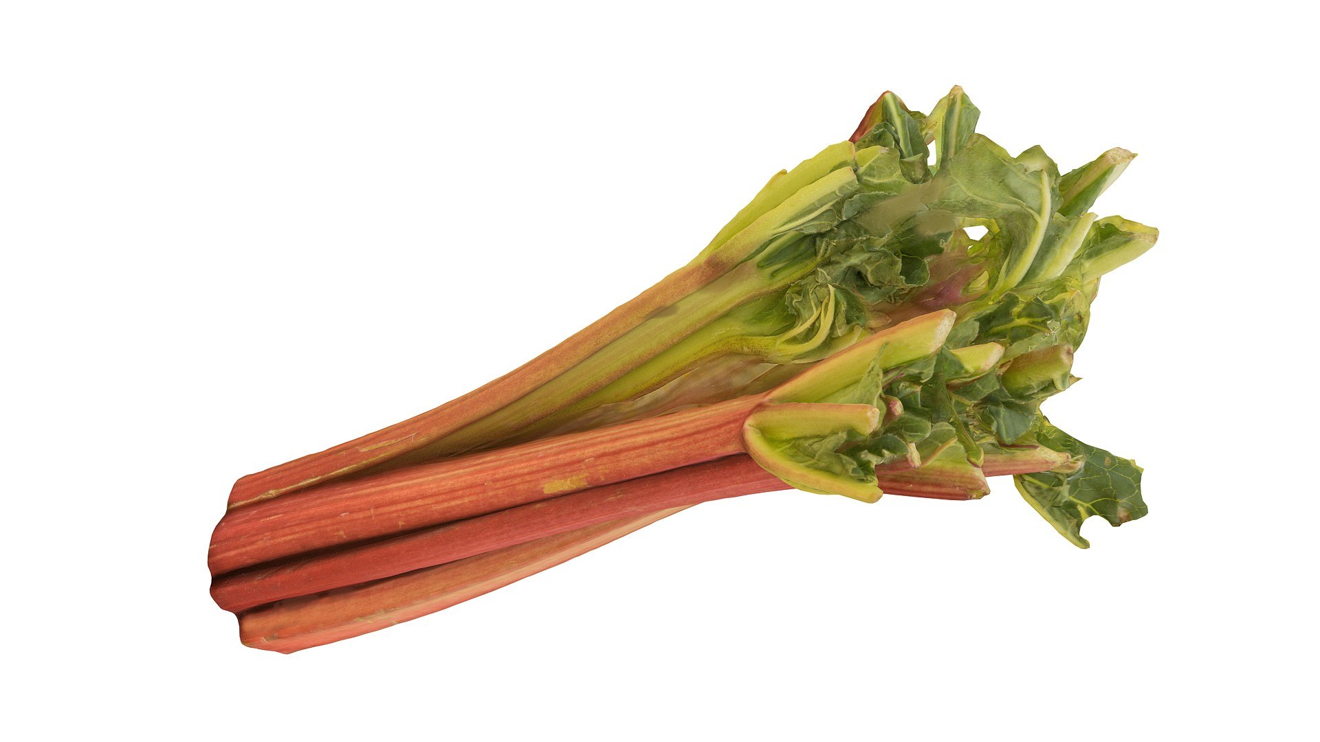 rhubarb 8k 3d max https://p.turbosquid.com/ts-thumb/9y/N8DLQx/cmDYhrC8/097/jpg/1431278237/1920x1080/fit_q87/91ba555cddfa2631949f5fb8c2b859e8b8064a4f/097.jpg