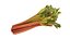 Rhubarb 8K