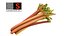 Rhubarb 8K