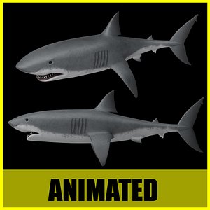 Shark - Animated