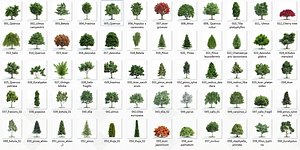 3D Modern Landscape Trees Collection 3D Models