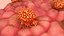 3D Cancer Cells model