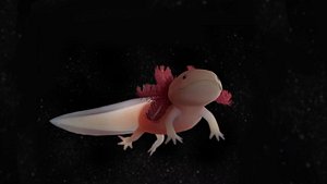 Axolotl