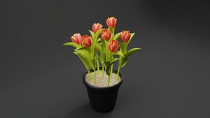 3D Tulips Plant model