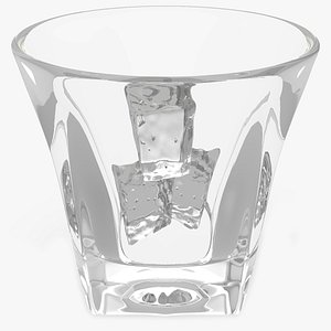 Empty Shot Glass with Ice