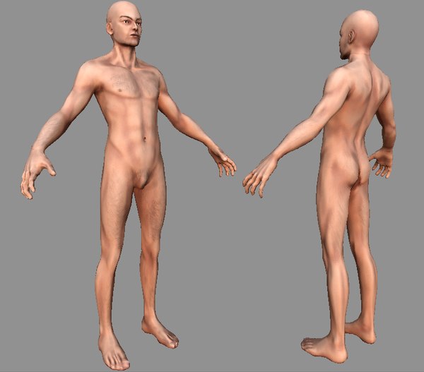 анатомия голого тела