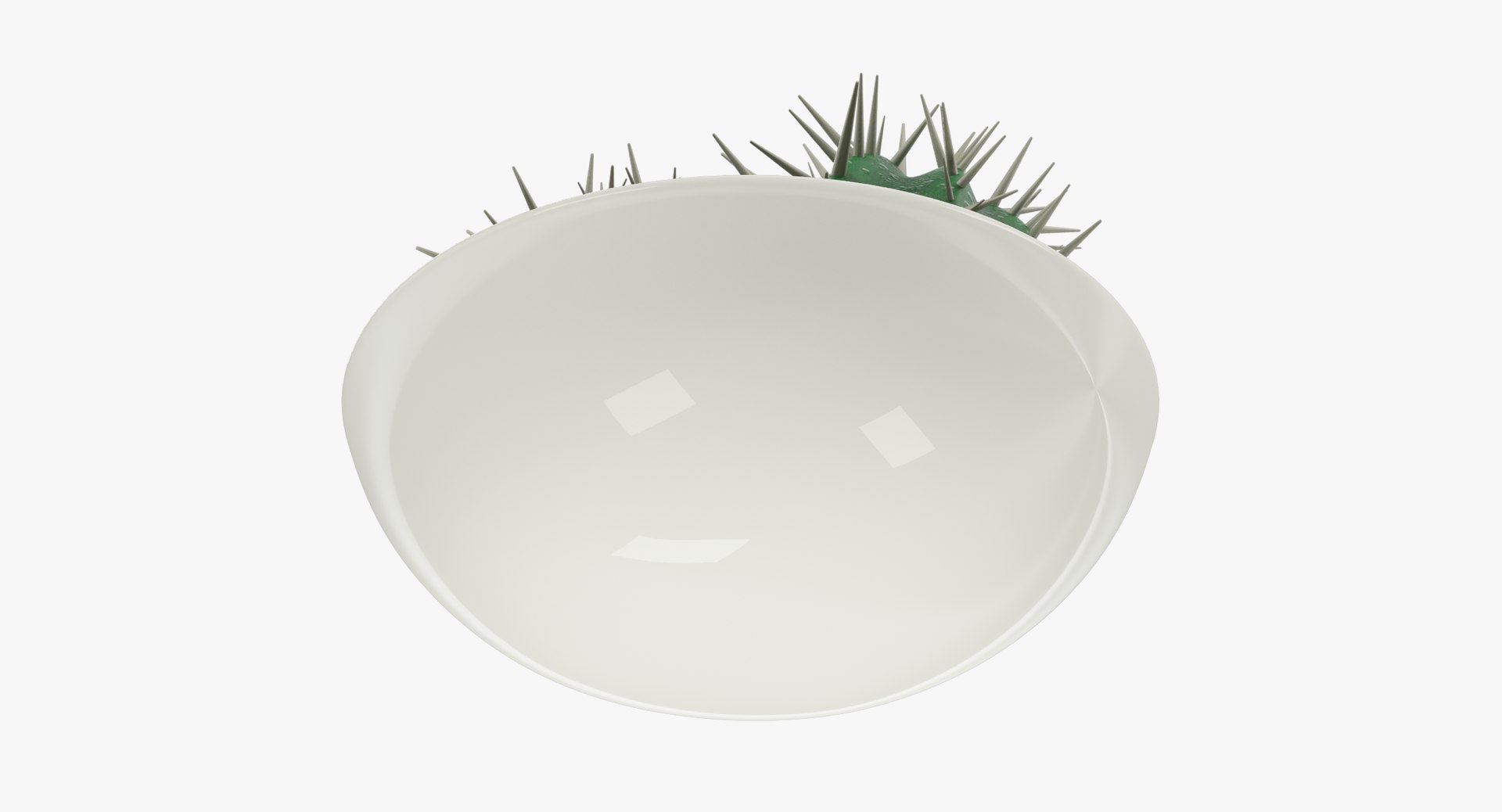 3D model cactus pot https://p.turbosquid.com/ts-thumb/9y/hUW9OI/NdxUrw8q/004_006copy/png/1559769331/1920x1080/fit_q87/3002235b8b5a1e2a5681a81f8bd9be2b7bd98394/004_006copy.jpg