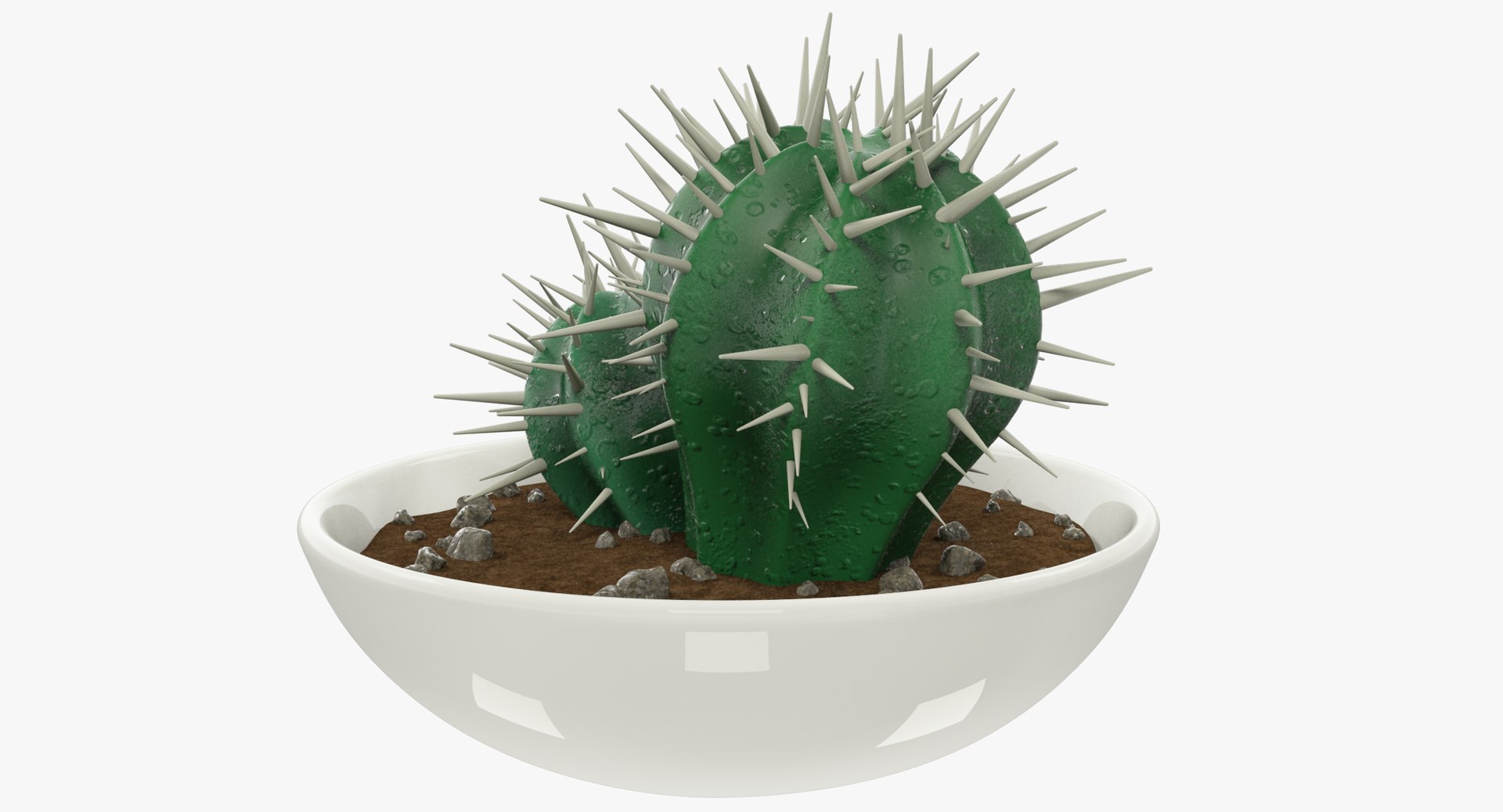 3D model cactus pot https://p.turbosquid.com/ts-thumb/9y/hUW9OI/dXMdzVDH/004_001copy/png/1559769331/1920x1080/fit_q87/dee7f0d675e2e9014c6379b5c9e70e5559dbb910/004_001copy.jpg