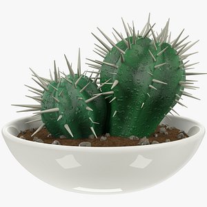 3D model cactus pot