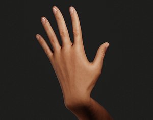 Female Left Hand Rigged