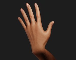 Female Left Hand Rigged