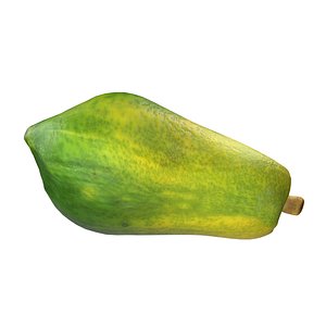 3D Papaya Fruit model