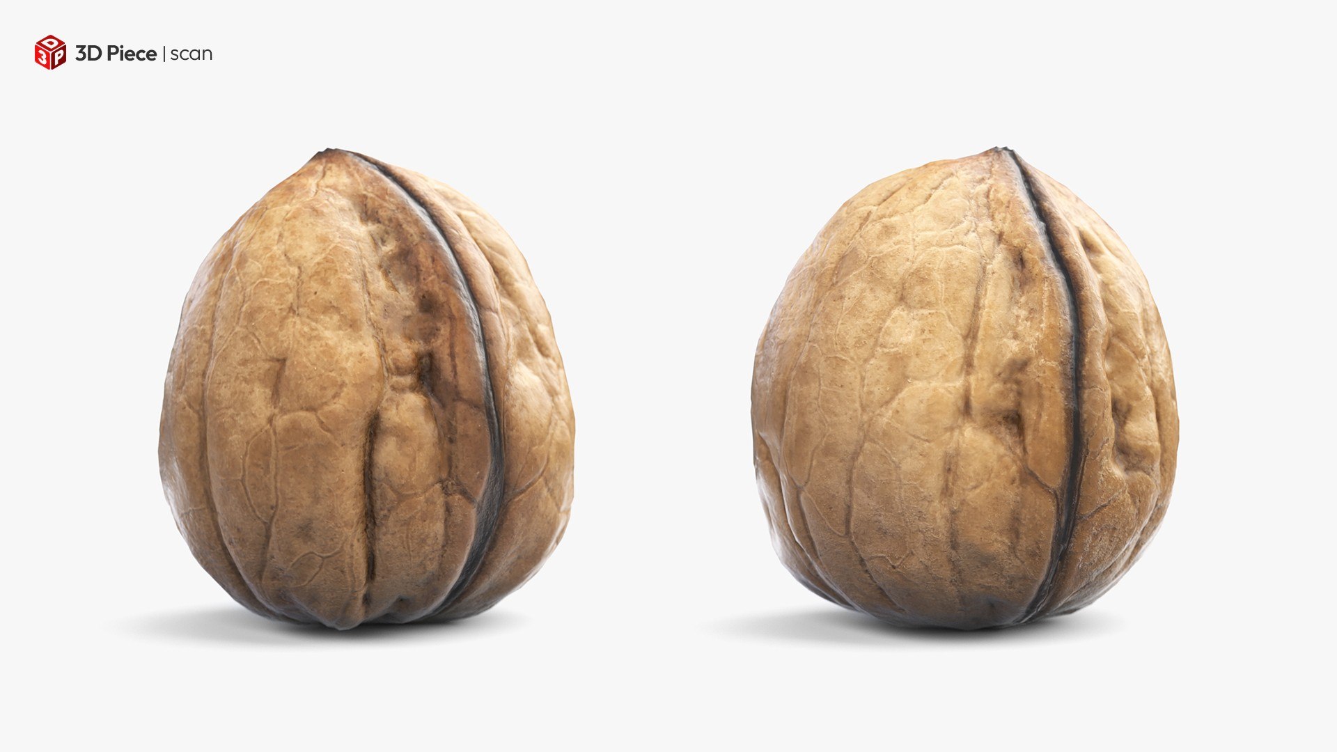 Walnut 3D model https://p.turbosquid.com/ts-thumb/9y/lOLfW8/WY/3/jpg/1770114679/1920x1080/fit_q87/43b8b524754b932e3c37adbc7bd4b14c1c46d79c/3.jpg