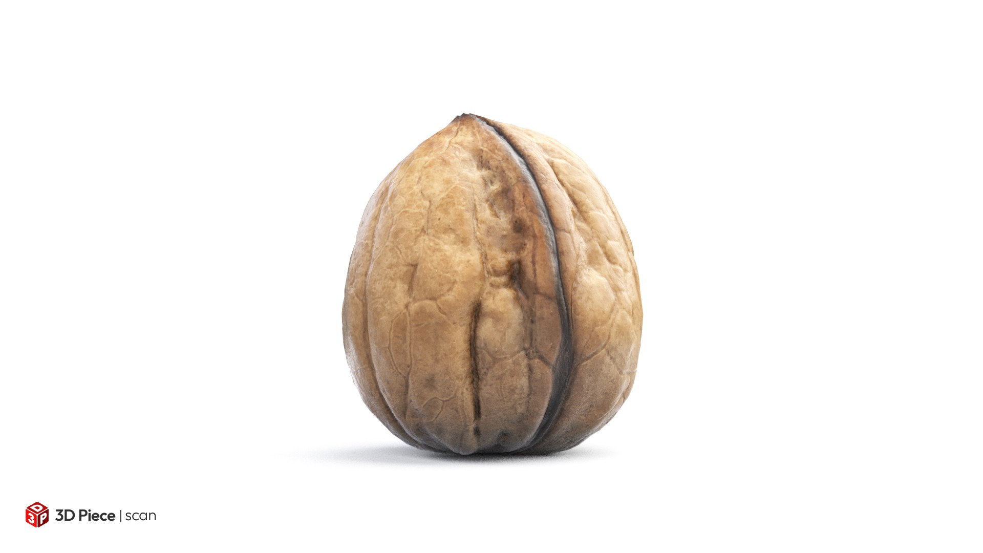Walnut 3D model https://p.turbosquid.com/ts-thumb/9y/lOLfW8/kO/walnut/jpg/1770115081/1920x1080/turn_fit_q99/21be284d54e7a614adea28b15a4585657b422e9b/walnut-1.jpg