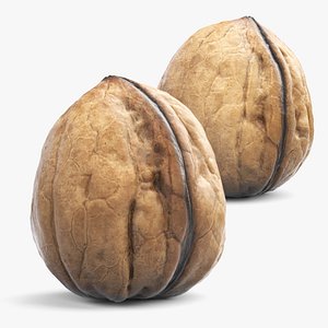 Walnut 3D model