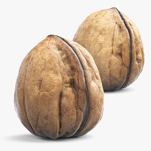 Walnut