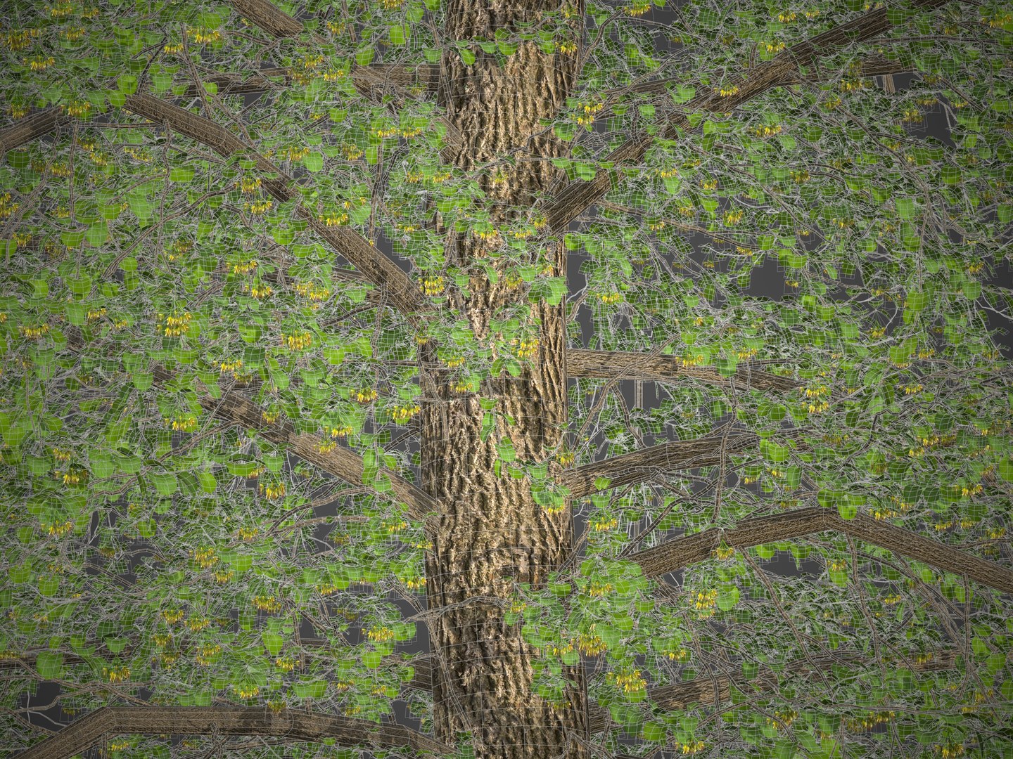 2021 PBR Broad Leaved Linden Collection - Tilia Platyphyllos 3D https://p.turbosquid.com/ts-thumb/9y/m1ZwGC/th/screenshot001/jpg/1624638244/1920x1080/fit_q87/20de44133391369c837f59fcdcd193cae2495dda/screenshot001.jpg