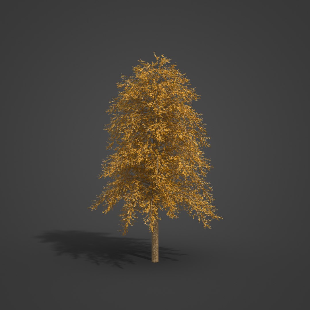2021 PBR Broad Leaved Linden Collection - Tilia Platyphyllos 3D https://p.turbosquid.com/ts-thumb/9y/m1ZwGC/xZ/eu19_05/jpg/1624638239/1920x1080/fit_q87/2a35e4f6282203bc8425a3812b887ea054aaf341/eu19_05.jpg