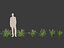 HighPoly LowPoly - Dietes grandiflora - Fairy Iris