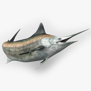 Marlin Rigged L1832