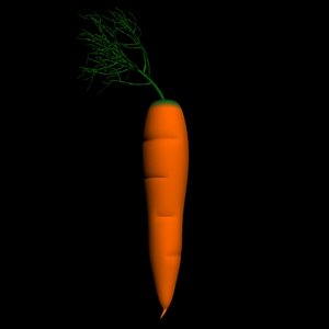 free carrot 3d model