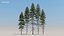 pine trees 60 3d model