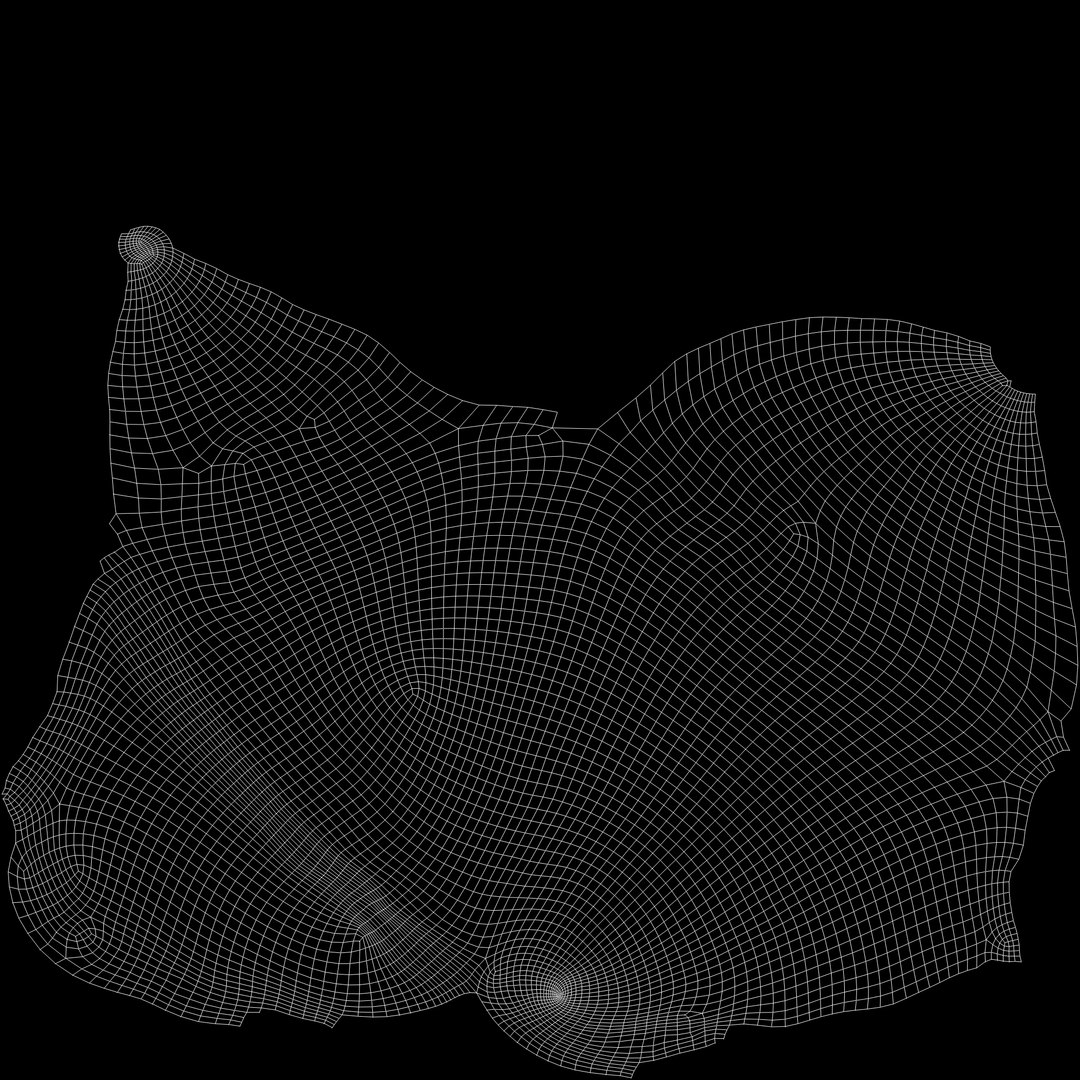 8K Smooth Sea Shell 3D https://p.turbosquid.com/ts-thumb/9z/Ipe4SU/Vo/smoothshelluv/jpg/1764069016/1920x1080/fit_q87/eefa2d1bcf46c182f8c1173ee98bea5d2954927b/smoothshelluv.jpg