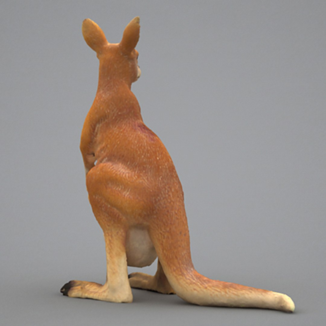 kangaroo 3d model https://p.turbosquid.com/ts-thumb/9z/JRG5vY/84Htblqc/kangaroo05/jpg/1256224668/1920x1080/fit_q87/31a375f019727219576dc602b5de8be59447bb65/kangaroo05.jpg