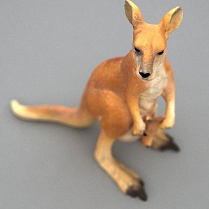 kangaroo 3d model