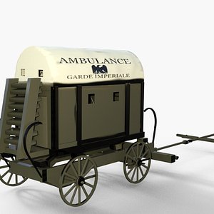 Napoleonic French Ambulance model