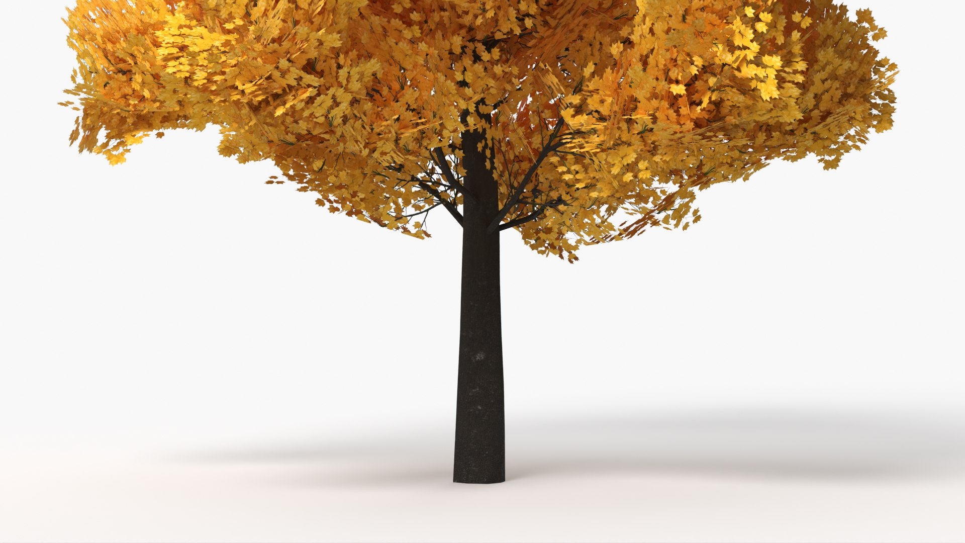 Lowpoly Decorative Maple Landscape Tree Yellow 3D model https://p.turbosquid.com/ts-thumb/9z/Ml7rpW/S7/lowpoly_decorative_maple_landscape_tree_yellow_006/jpg/1765921376/1920x1080/fit_q87/5e01790852f040b7deb1cf8f2d677c83be18b4ea/lowpoly_decorative_maple_landscape_tree_yellow_006.jpg