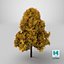 Lowpoly Decorative Maple Landscape Tree Yellow